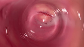 Internal web-cam inside tight creamy Cunt, Cock's POINT OF VIEW