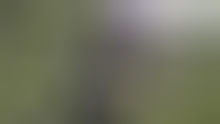 Social Experiment XXX: Random Lover Swallows My Cunt Outdoors