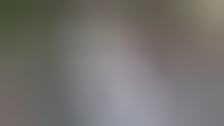 Julia 19 Userfick