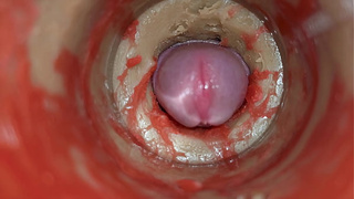 Web camera 4k in Snatch, Cervix SELF PERSPECTIVE, "Cream-pie", "Fucking breed me" ASMR SEX