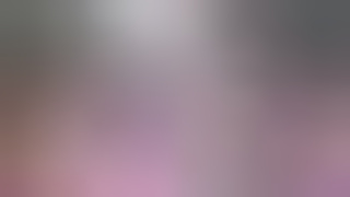 Never Say Never to Stecco two