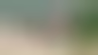 Amateurs lovers mounts on the beach sure about not be seen