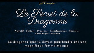 The Secretly watching of the Dragoness - French sex story furry