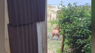 I caught her and got a lovely bj on the beach.