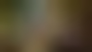 A Ex-wife for Sale (1995)