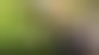 Village desi bhabhi rammed in mustard field in doggy style . Outdoor sex Desi bhabhi with dewar