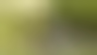 Alluring and stunning brunette does boobjob and rides outdoor