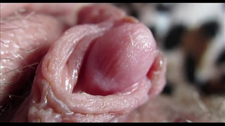 Extreme close up on my humongous clit head pulsating