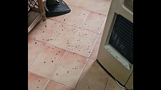 Cleaning the house in shorts, showing her booty.