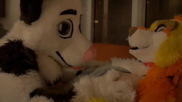 Yiff Porn In Real Life - Real Furry Sex TFF 2018 | Pornn Video