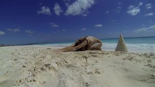 Walking With The Naturist 2