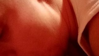 Trixie swallow